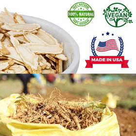 Sachet de ginseng américain DABC OAK LAND avec la balance de poids