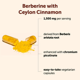 Sachet de Micro Ingredients Berberine avec Cannelle de Ceylan vue de face