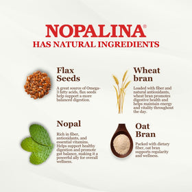 Sachet de Nopalina Formule de Fibres Ananas ouvert avec poudre visible