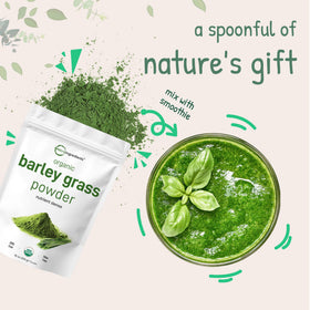 Sachet de poudre d'herbe d'orge bio Micro Ingredients sur une table