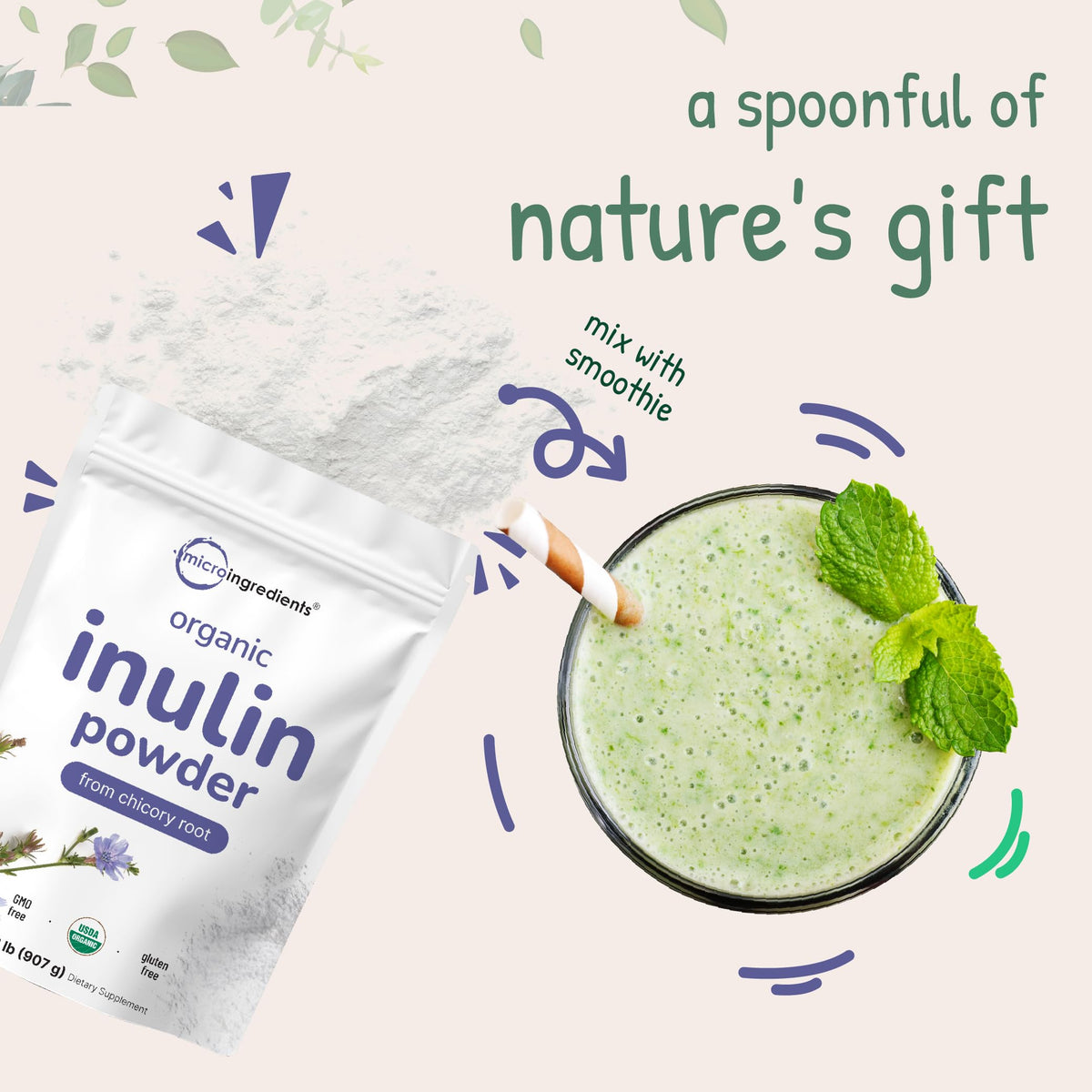 Sachet de poudre d'inuline biologique Micro Ingredients