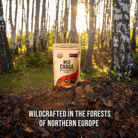 Sachet de poudre de Chaga bio Numami ouvert