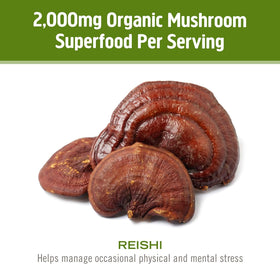Sachet de poudre de champignon Reishi bio OM MUSHROOM SUPERFOOD sur une table