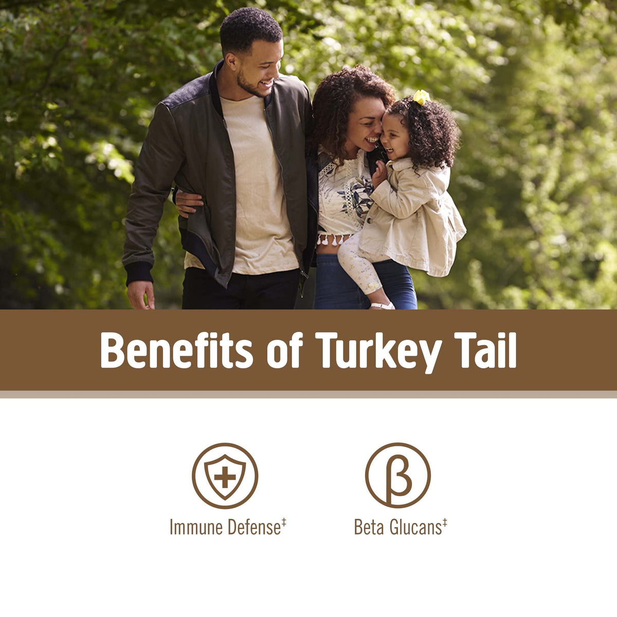 Sachet de poudre de champignon Turkey Tail bio avec cuillère