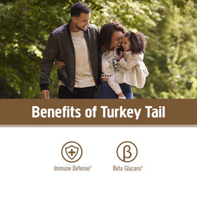 Sachet de poudre de champignon Turkey Tail bio avec cuillère