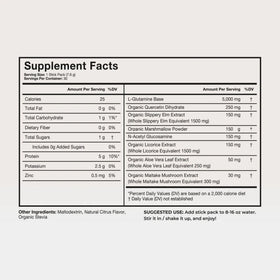 Sachet de Terra Health Essentials Solusticks Gut ouvert avec poudre orange