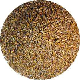 Sachet de thé de cassia Greenhilltea ouvert montrant les graines