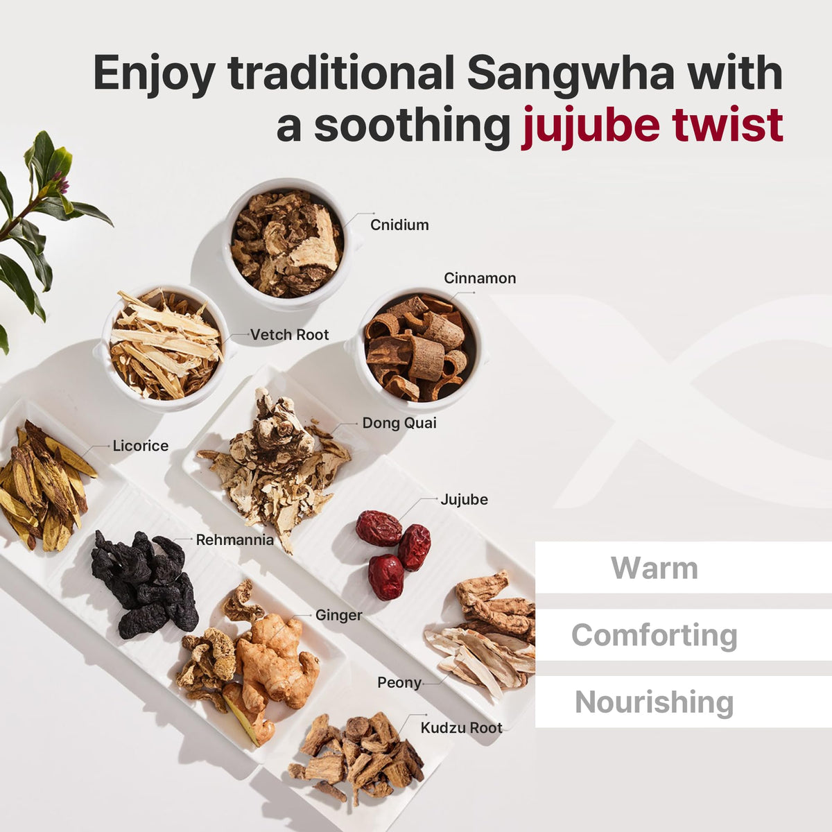 Sachet de thé Ssang Hwa Jin prêt à boire
