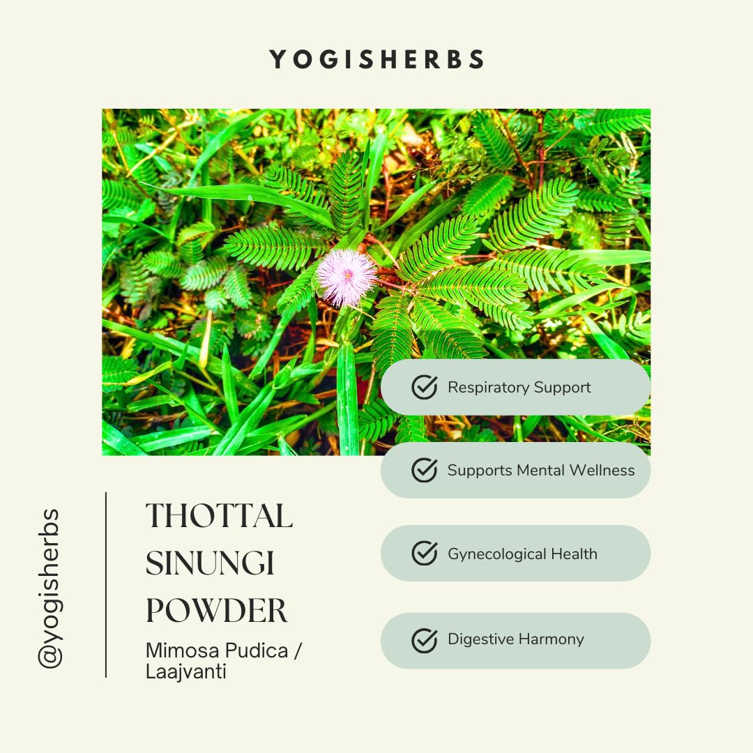 Sachet de YOGIS HERBS Thottal Sinungi sur une table en bois