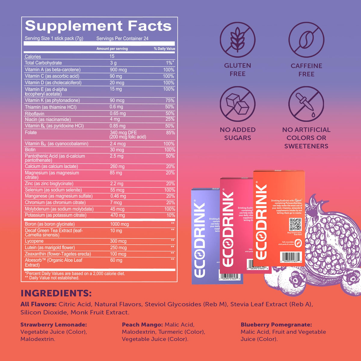 Sachet Eco Drink Électrolytes goût myrtille-grenade