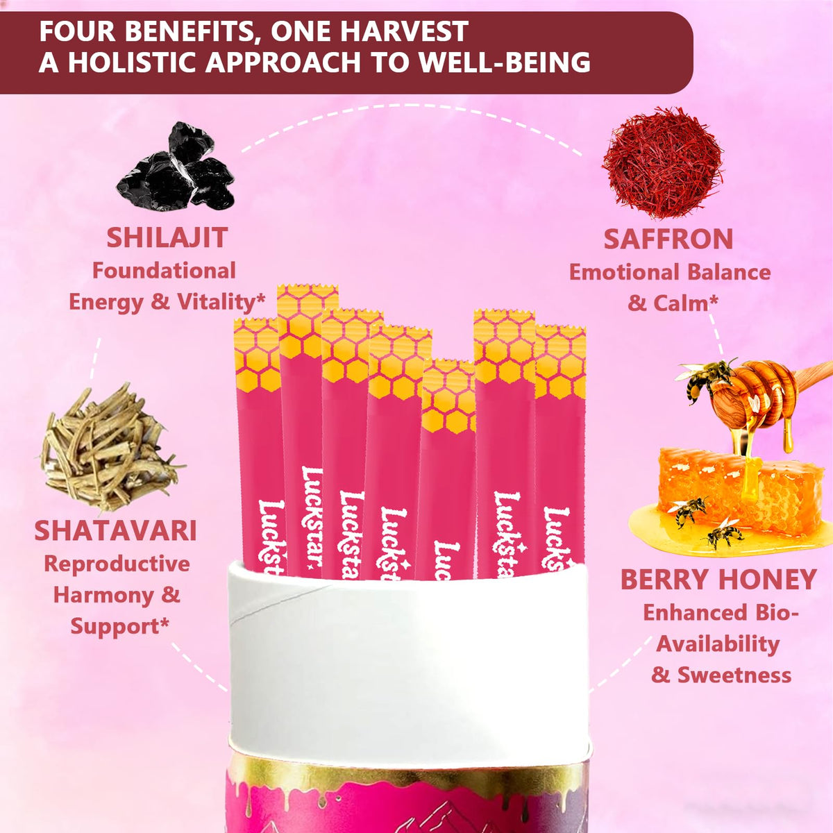 Sachet individuel de Shilajit Stick au Miel