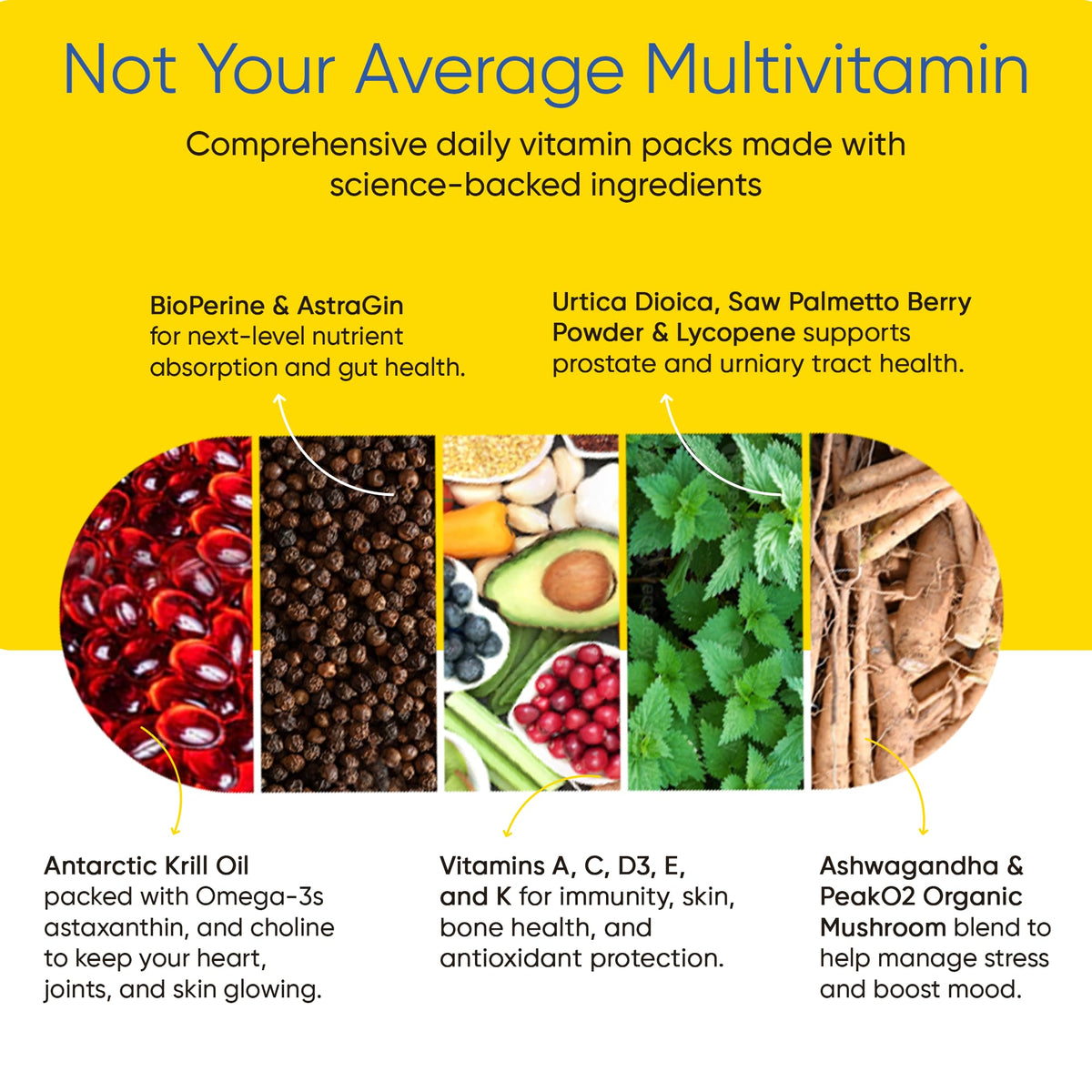Sachet individuel des Multivitamines Total Health Homme Universal U
