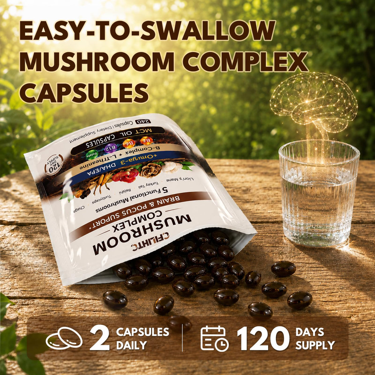 Sachet refermable de CFILIHTC Champignon Lion's Mane