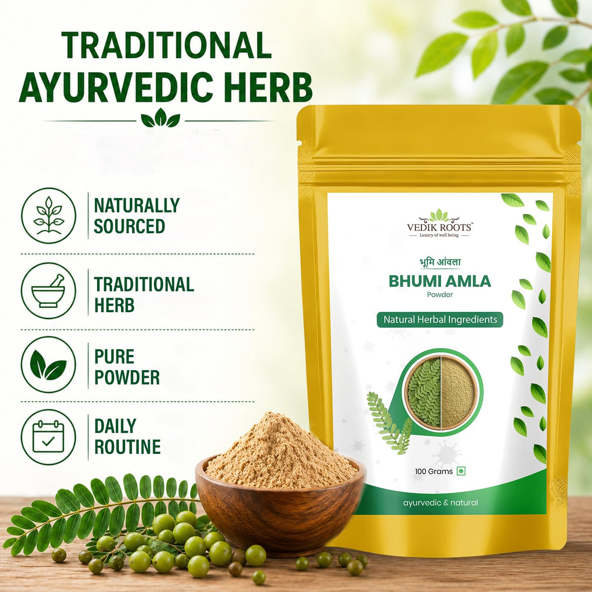 Sachet refermable de poudre de Bhumi Amla Bio VEDIKROOTS