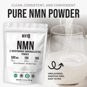 Sachet refermable de poudre NMN WHYZ