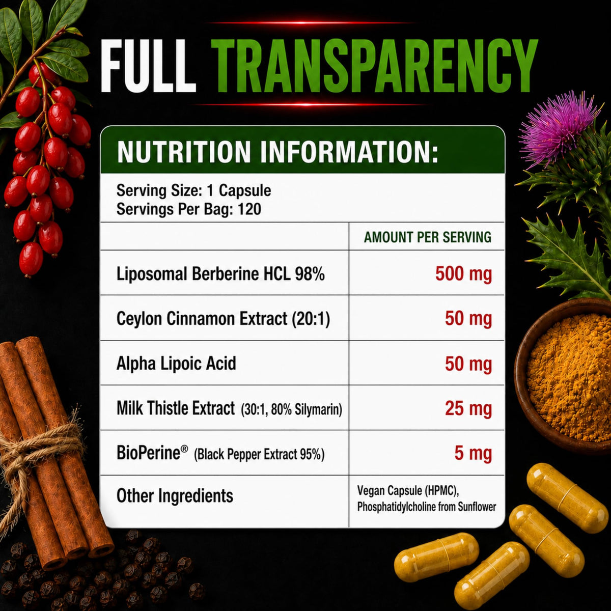 Sachet refermable de PURETREX Berberine HCl 500mg Capsules