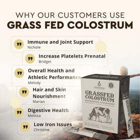 Sachets de poudre de colostrum bovin Ancestral Supplements en vue de dessus