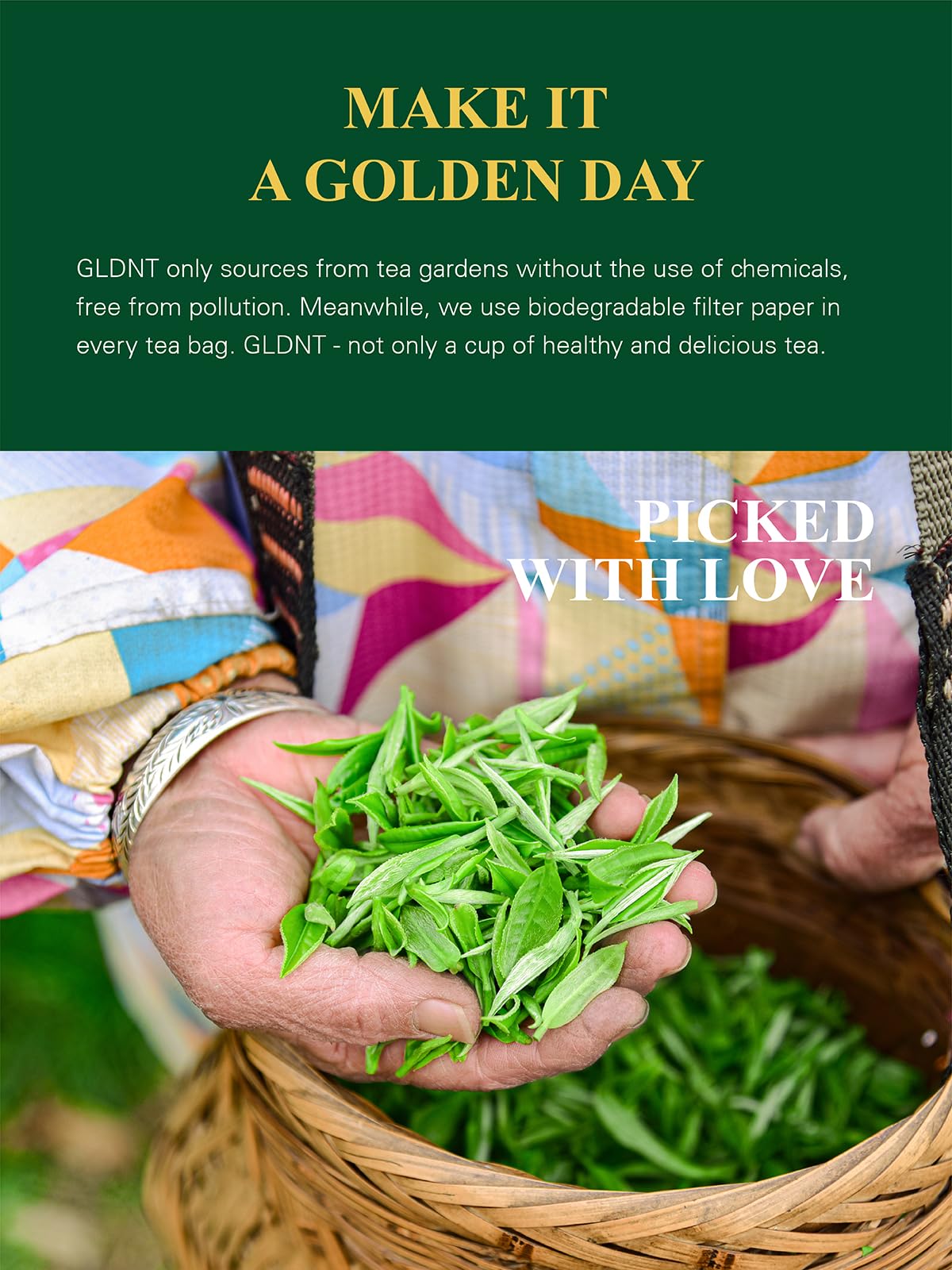 Sachets de thé vert bio GLDNT dans un environnement naturel