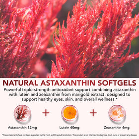 Sachets KZUO Astaxanthine et Lutéine sur une table