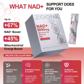 Sachets Zoone NAD Plus 1000mg en usage quotidien