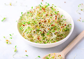 Salade avec des pousses de luzerne bio ajoutées