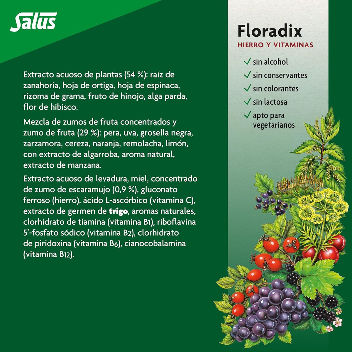 Salus Floradix Fer Liquide 500ml sur une table en bois