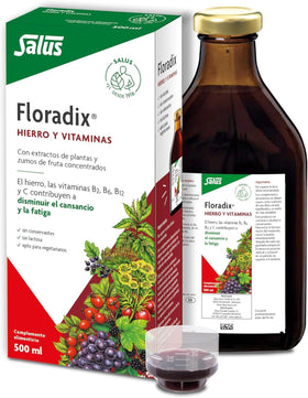 Salus Floradix Formule de Fer Liquide 500ml vue avant avec étiquette