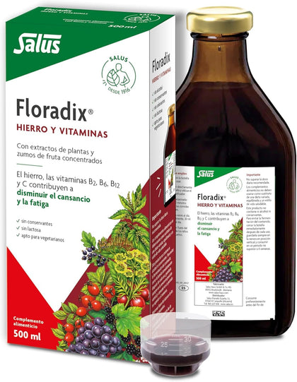 Salus Floradix Formule de Fer Liquide 500ml vue avant avec étiquette