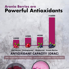 Samsara Herbs Aronia Berry 120 capsules en présentation