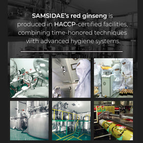 SAMSIDAE Thé de Ginseng Rouge Coréen présentation produit
