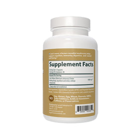 Sanar Naturals Lions Mane 1000mg capsules en mode de vie actif