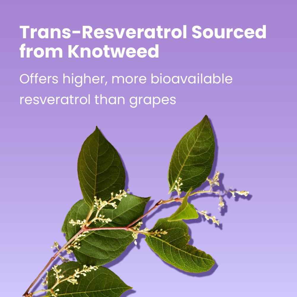 Sanar Naturals Resveratrol 500mg contenant sur fond blanc