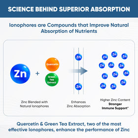 Sandhu's Zinc 800mg avec Quercétine et Thé Vert étiquette du produit