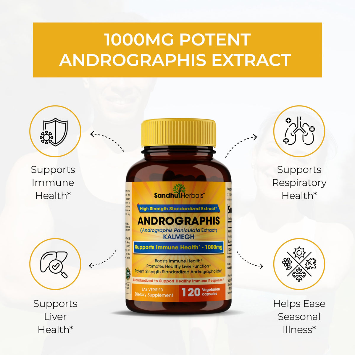 SANDHUHERBALS Andrographis Paniculata Kalmegh capsules sur une table