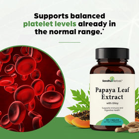 SANDHUHERBALS Extrait de Feuille de Papaye 120 Capsules sur fond blanc