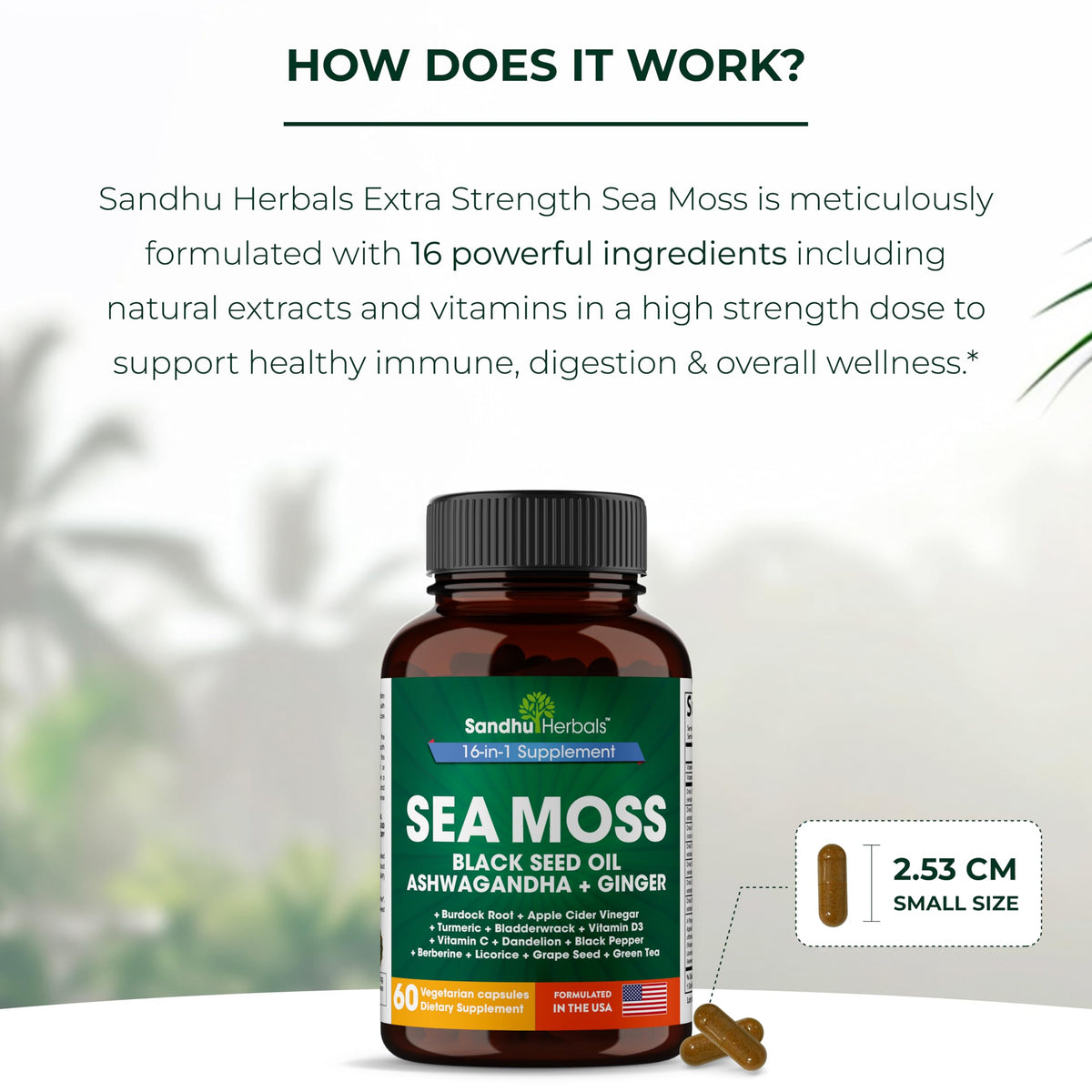 SANDHUHERBALS Mousse de Mer Capsules, prise en main