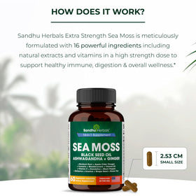 SANDHUHERBALS Mousse de Mer Capsules, prise en main