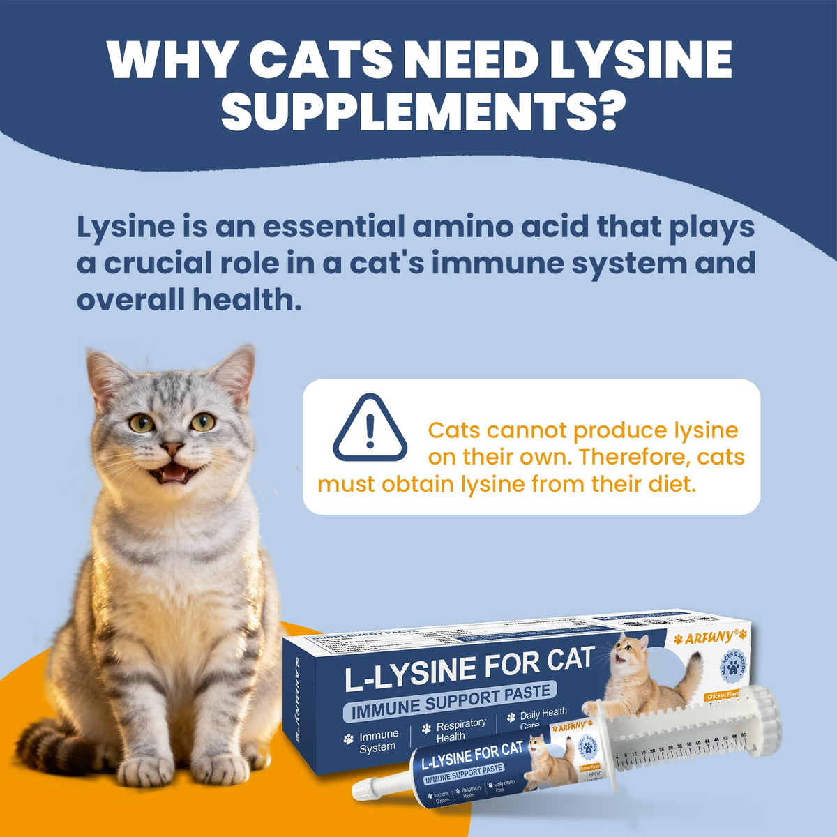 SANTKOL L-Lysine pour Chats ingrédients sur l'étiquette