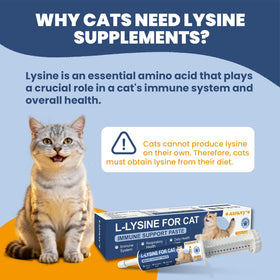 SANTKOL L-Lysine pour Chats ingrédients sur l'étiquette