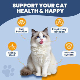 SANTKOL L-Lysine pour Chats tube avec chaton