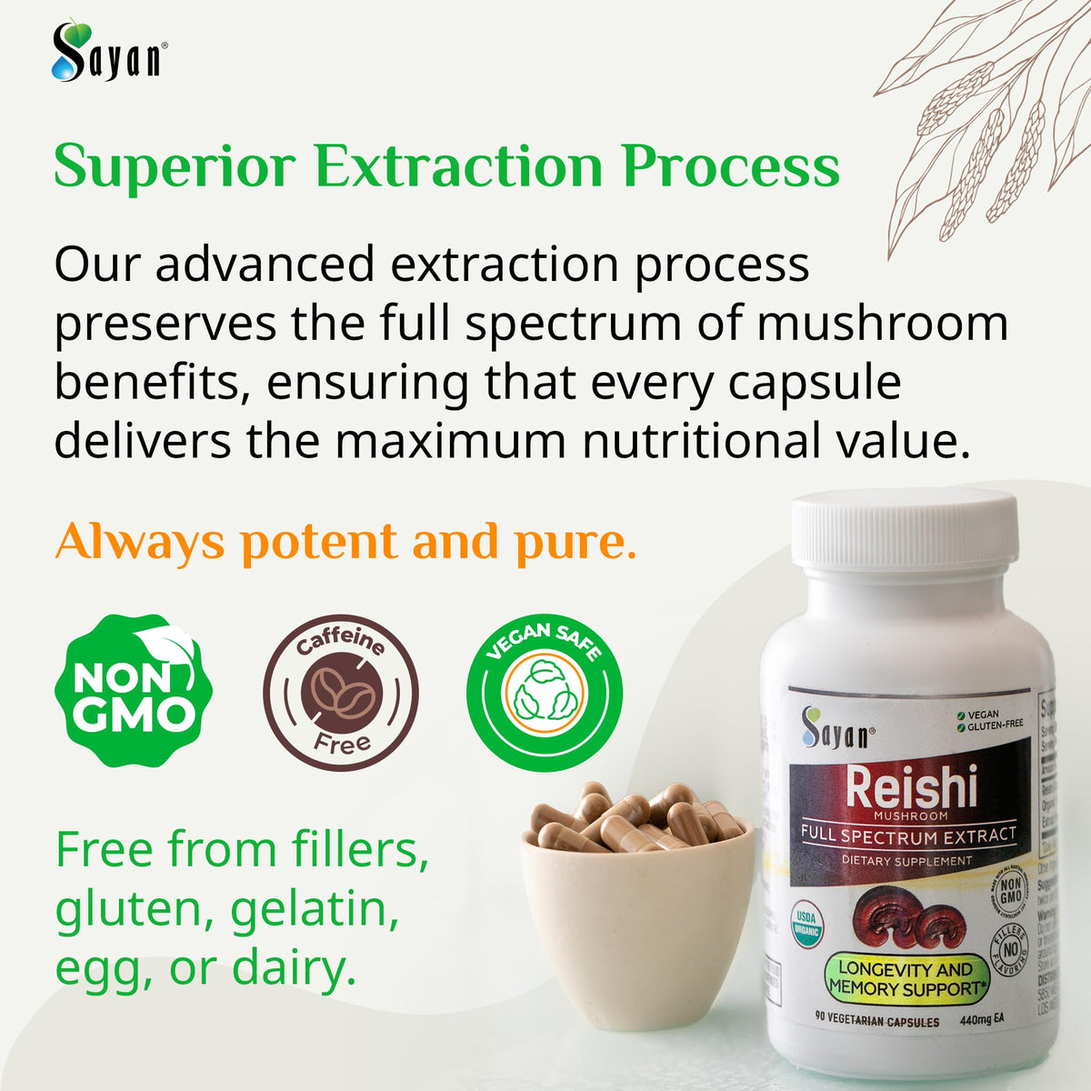 Sayan Extrait de Champignon Reishi 90 Capsules arrière