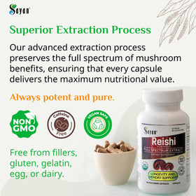 Sayan Extrait de Champignon Reishi 90 Capsules arrière