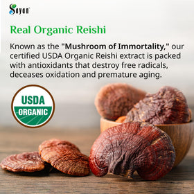 Sayan Extrait de Champignon Reishi 90 Capsules avec étiquette détaillée