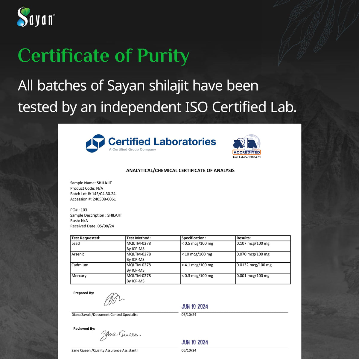 Sayan Shilajit Résine 90g en contexte de bien-être