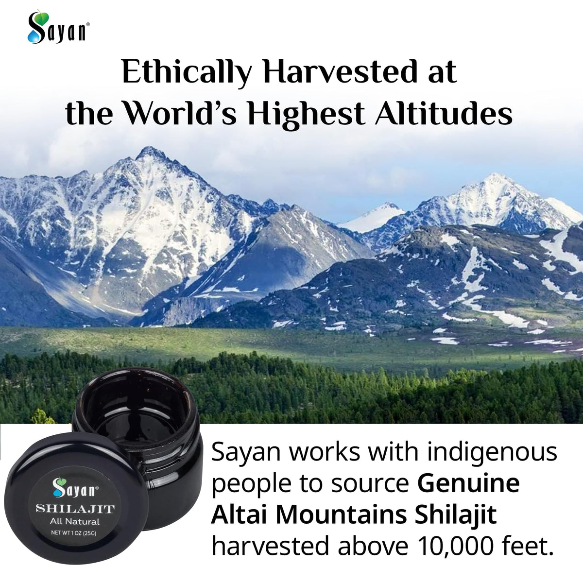 Sayan Shilajit Résine 90g texture de la résine