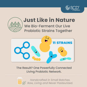 SCD Probiotics Boisson Probiotique 16 oz avec fruits