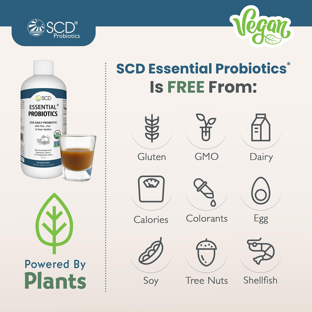 SCD Probiotics Boisson Probiotique 16 oz avec smoothie