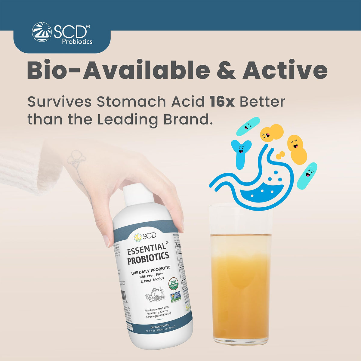 SCD Probiotics Boisson Probiotique 16 oz dans un verre avec de l'eau