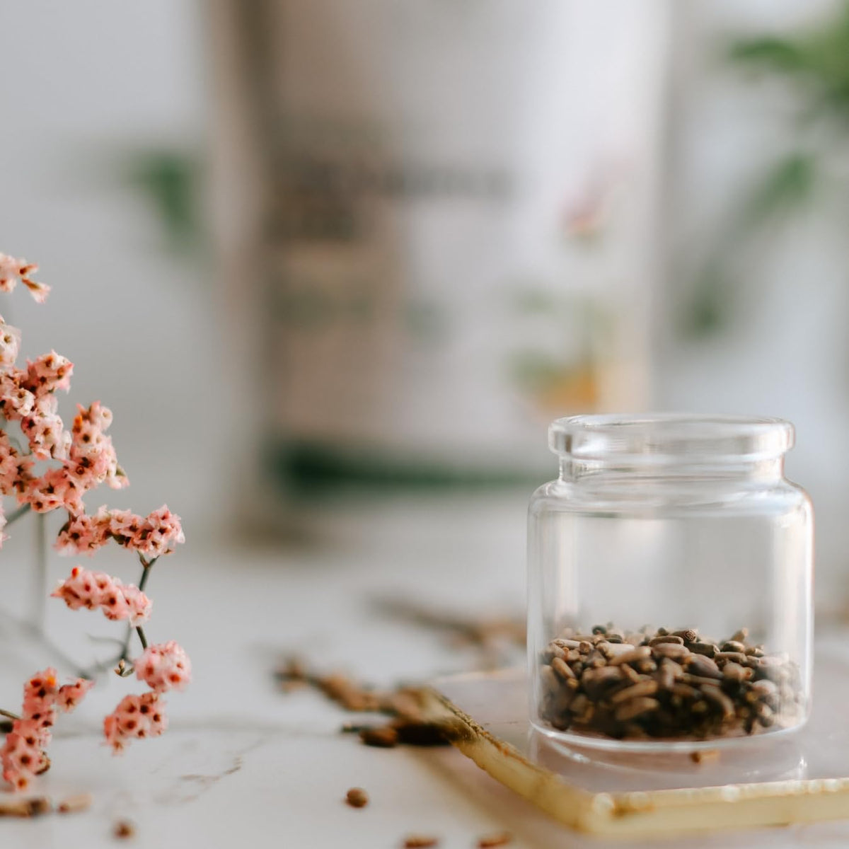 Scène de cuisine avec graines de chardon-marie Elanen Naturals