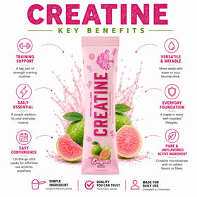 Scoop de créatine monohydrate Primeval Labs en poudre